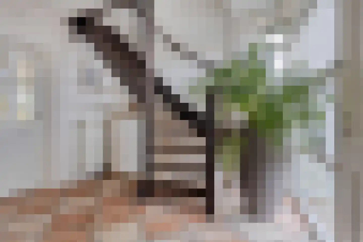 Brekeling 4 Etten-Leur thumbnail 24