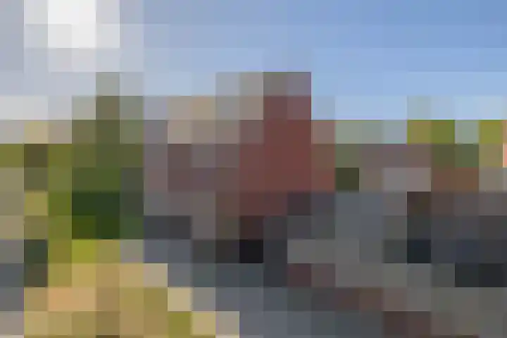 Brekelsveld 68 Rotterdam thumbnail 10