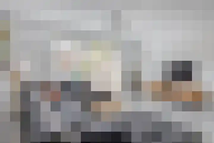 Brekelsveld 68 Rotterdam thumbnail 15