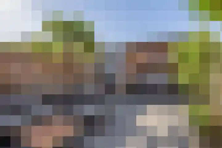 Brekelsveld 68 Rotterdam thumbnail 23