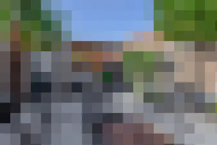 Brekelsveld 68 Rotterdam thumbnail 24