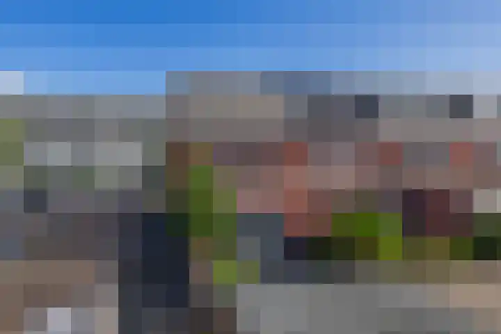 Brekelsveld 68 Rotterdam thumbnail 28