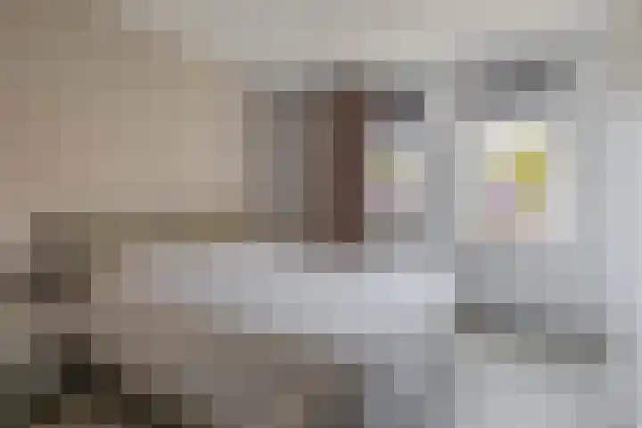 Brekelsveld 68 Rotterdam thumbnail 30