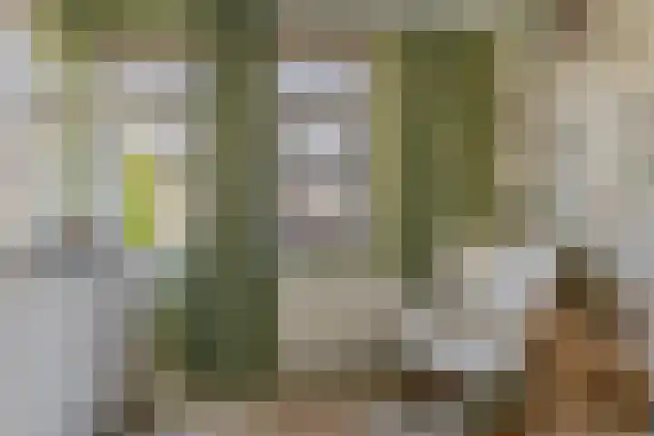 Brekelsveld 68 Rotterdam thumbnail 35