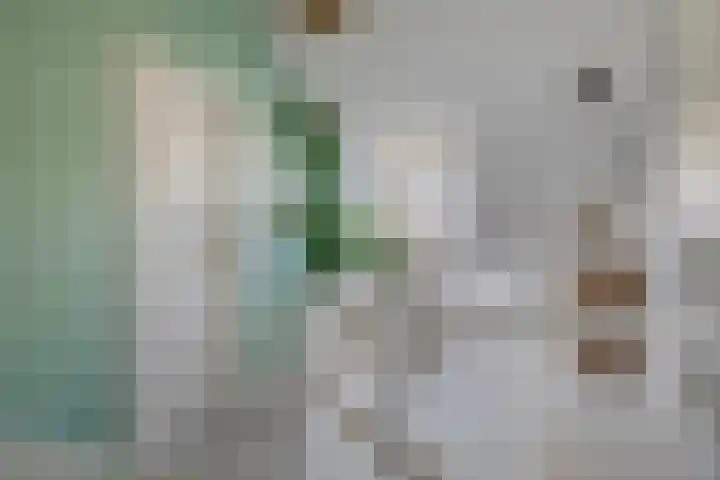 Brekelsveld 68 Rotterdam thumbnail 38