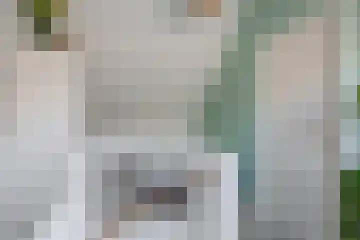 Brekelsveld 68 Rotterdam thumbnail 39