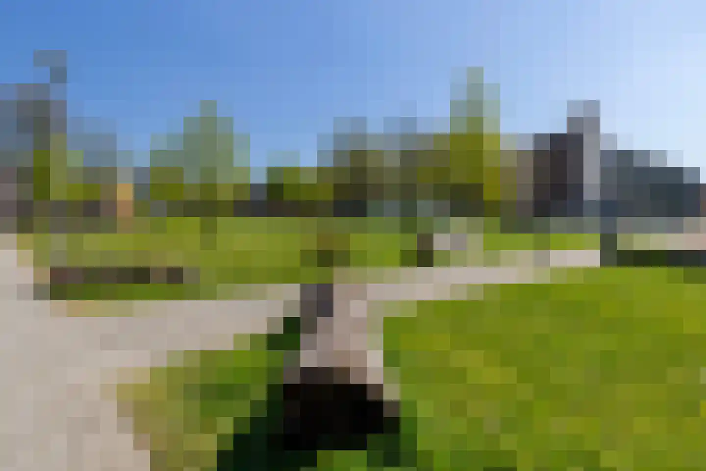 Brekelsveld 87 Rotterdam thumbnail 40