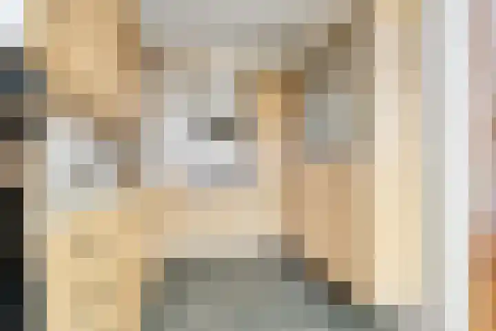 Brekken 13 Zwolle thumbnail 17