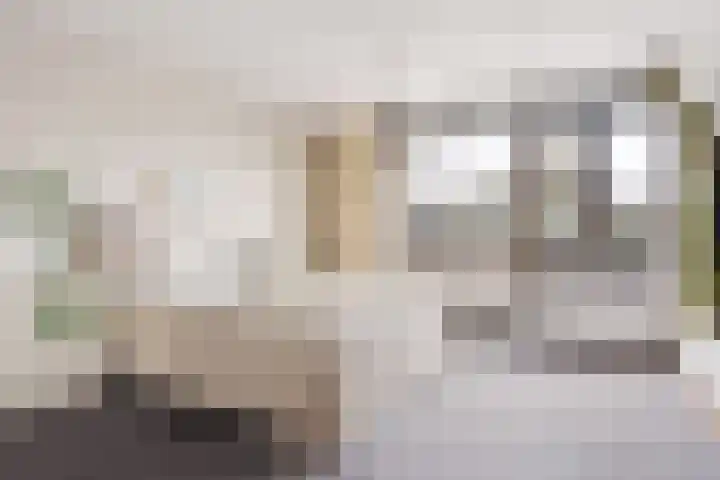 Brekken 13 Zwolle thumbnail 19