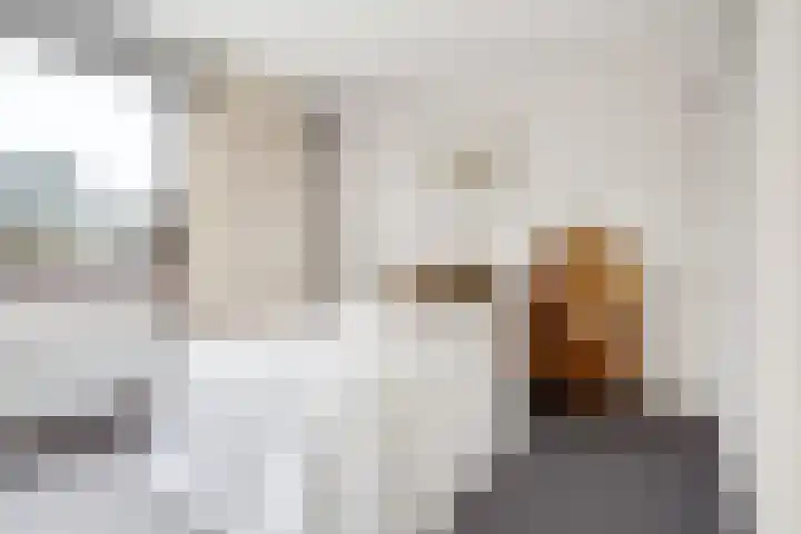 Brekken 13 Zwolle thumbnail 22