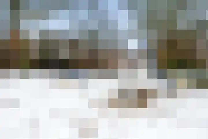 Brekken 13 Zwolle thumbnail 40