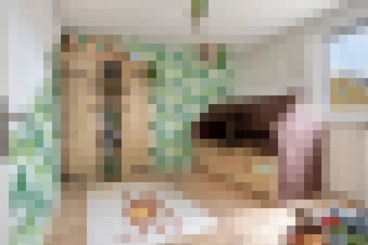 Brekken 15 Heerenveen thumbnail 20