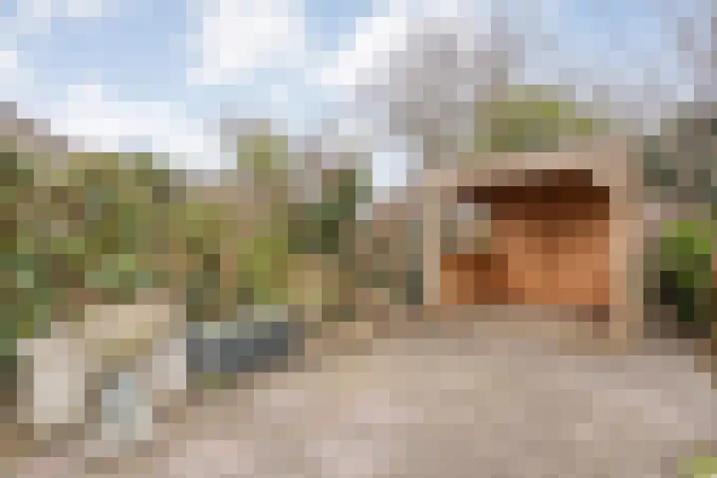 Brekken 26 Zwolle thumbnail 42