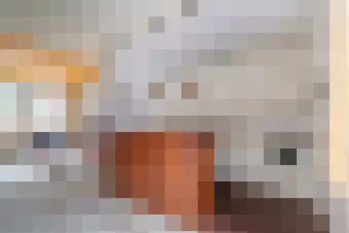 Brekken 30 Zwolle thumbnail 11