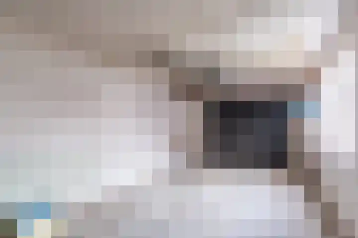 Brekken 30 Zwolle thumbnail 17