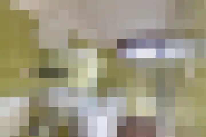 Brekken 30 Zwolle thumbnail 23
