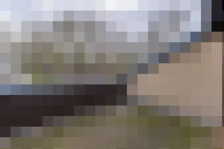 Brekken 30 Zwolle thumbnail 27