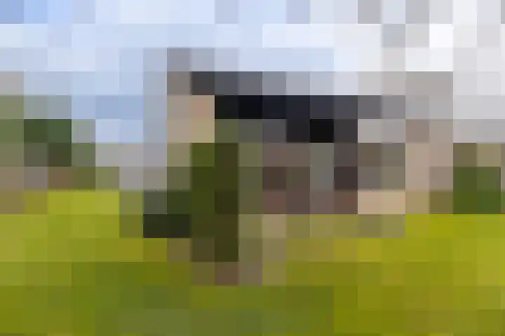 Brekken 30 Zwolle thumbnail 30
