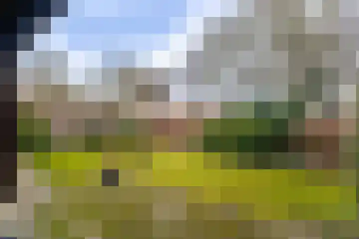 Brekken 30 Zwolle thumbnail 32