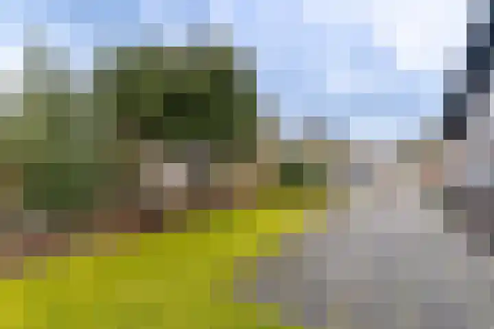 Brekken 30 Zwolle thumbnail 33