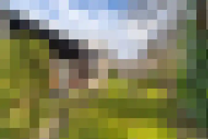 Brekken 30 Zwolle thumbnail 34