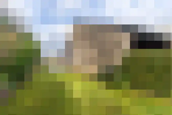 Brekken 30 Zwolle thumbnail 35