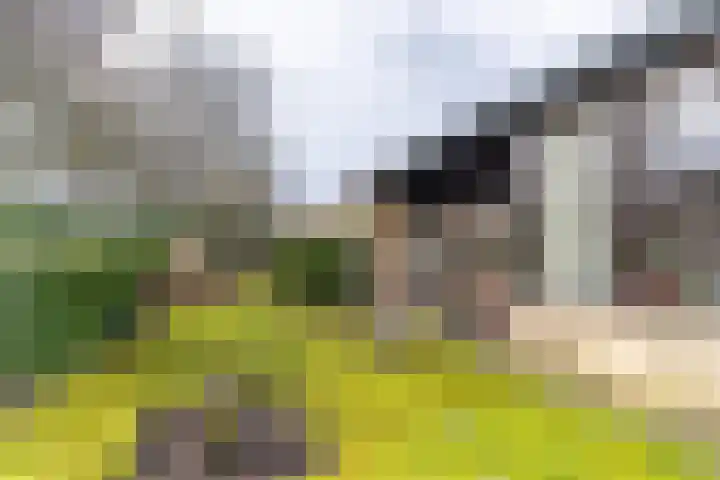 Brekken 30 Zwolle thumbnail 36