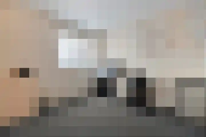 Brekken 5 Zwolle thumbnail 18
