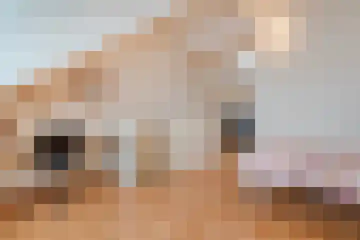 Brekken 5 Zwolle thumbnail 22