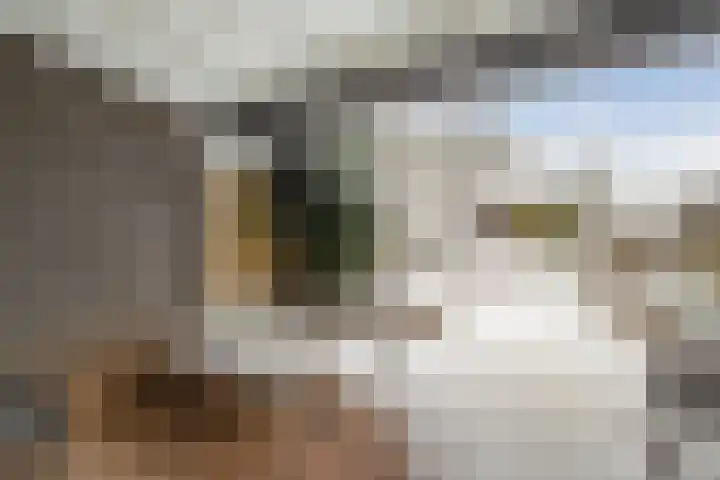 Brekken 5 Zwolle thumbnail 26