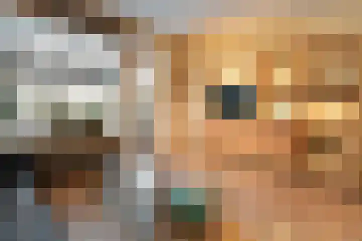 Brekken 5 Zwolle thumbnail 5