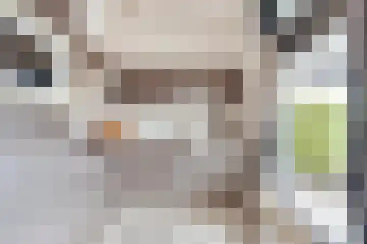 Brekkenweg 4 20 Lemmer thumbnail 18
