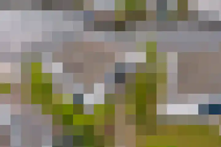 Brekkenweg 4 20 Lemmer thumbnail 26