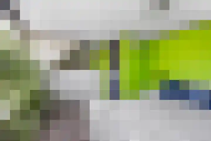 Breksdyk 12 Oudega thumbnail 24