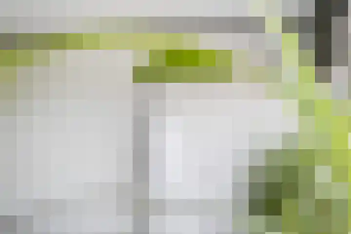 Breksdyk 12 Oudega thumbnail 25