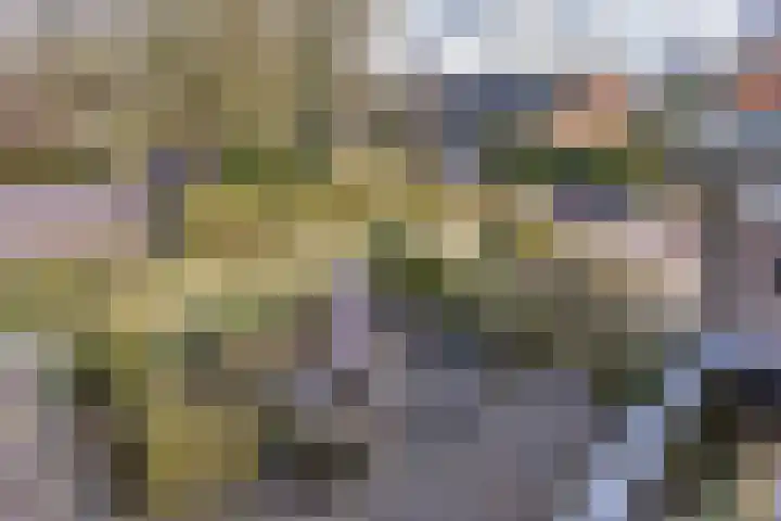 Breksdyk 12 Oudega thumbnail 29