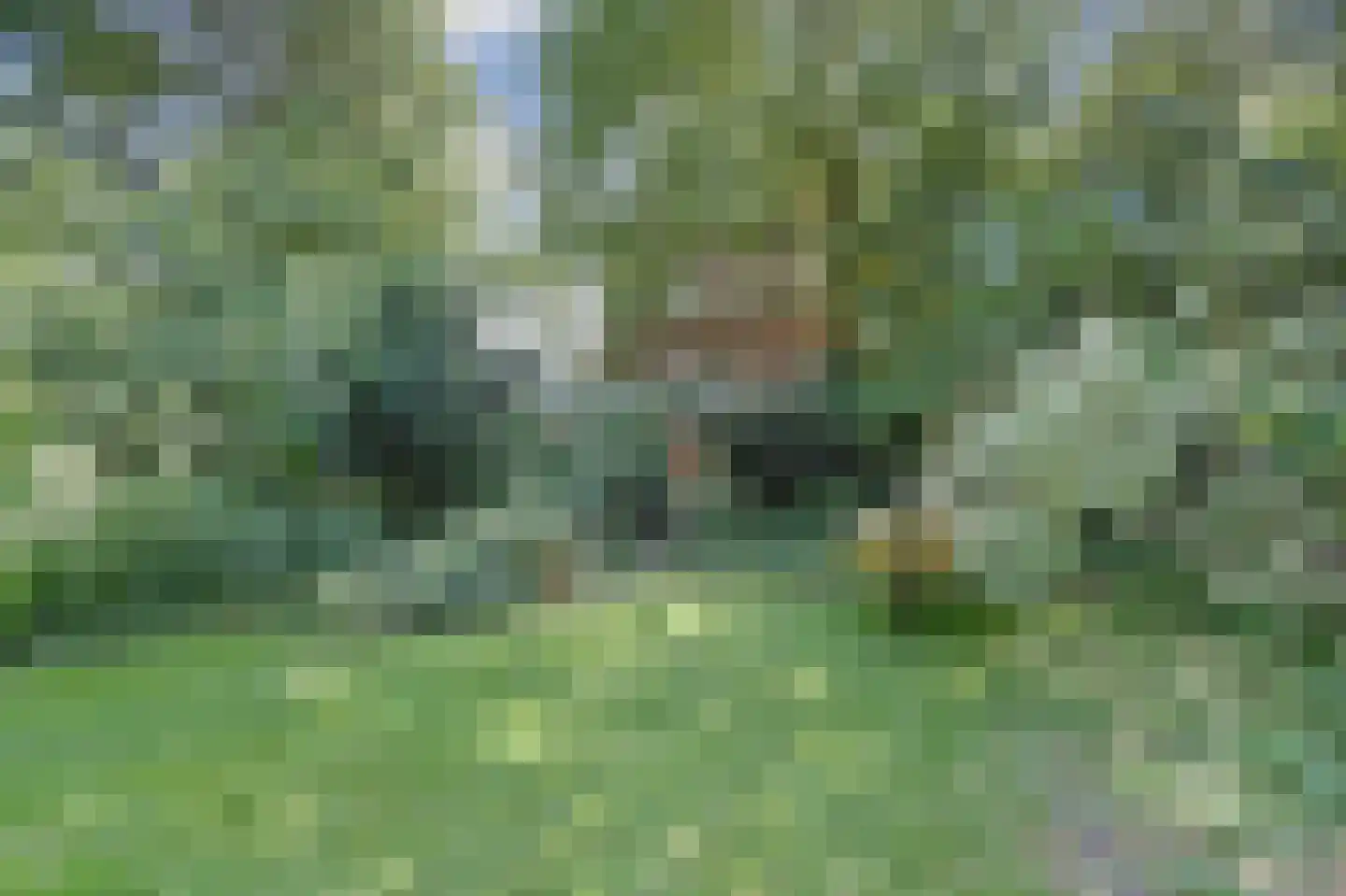 Breksdyk 45 Oudega thumbnail 32