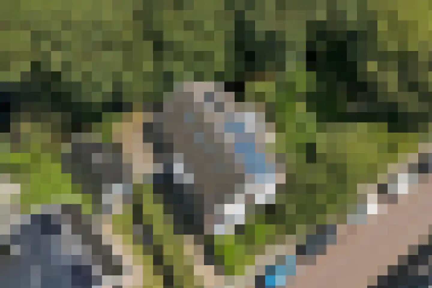 Breksdyk 45 Oudega thumbnail 35
