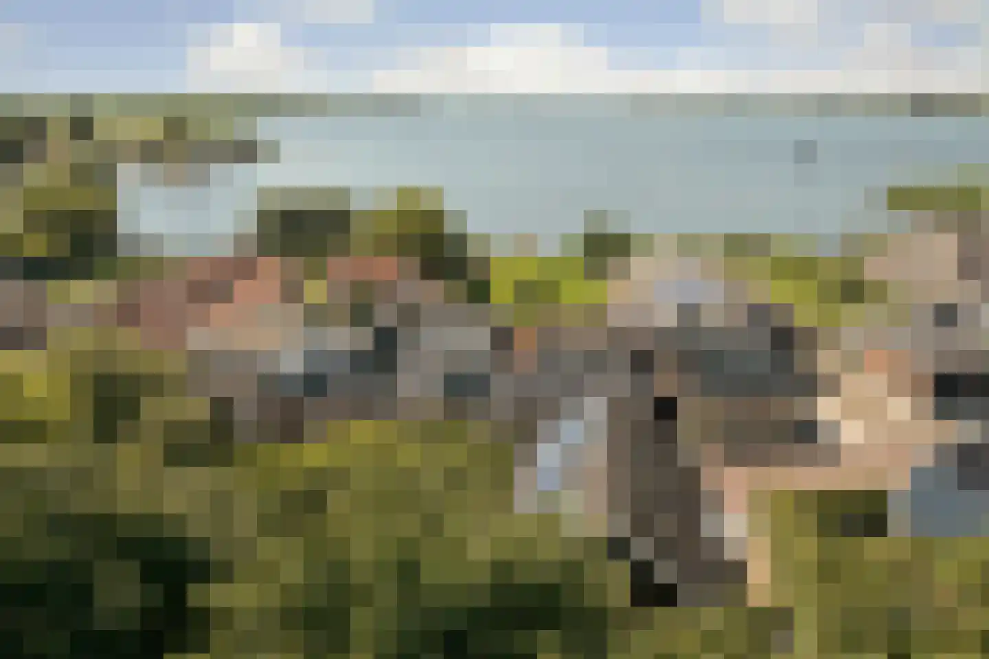 Breksdyk 45 Oudega thumbnail 6