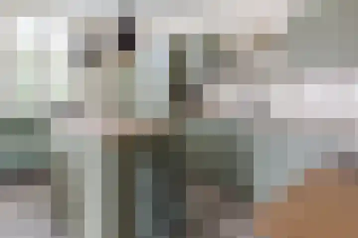 Breksdyk 51 Oudega thumbnail 13