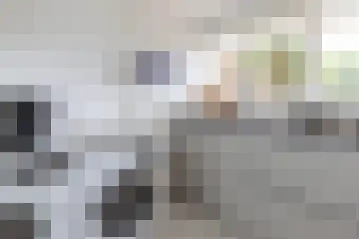 Breksdyk 51 Oudega thumbnail 16