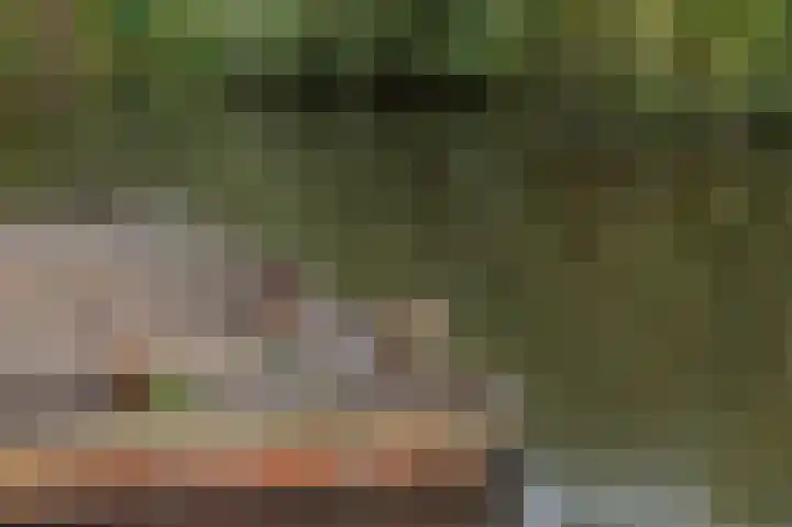 Breksdyk 51 Oudega thumbnail 39