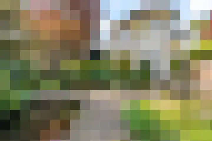 Breloftpark 18 Noordwijk thumbnail 21