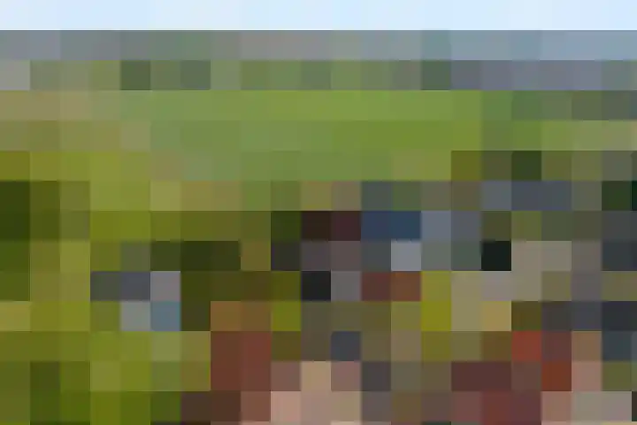 Breloftpark 18 Noordwijk thumbnail 38