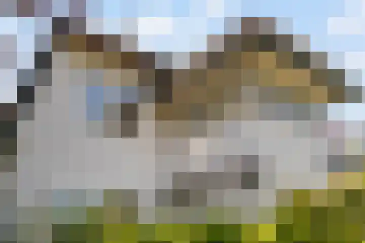 Breloftpark 18 Noordwijk thumbnail 6
