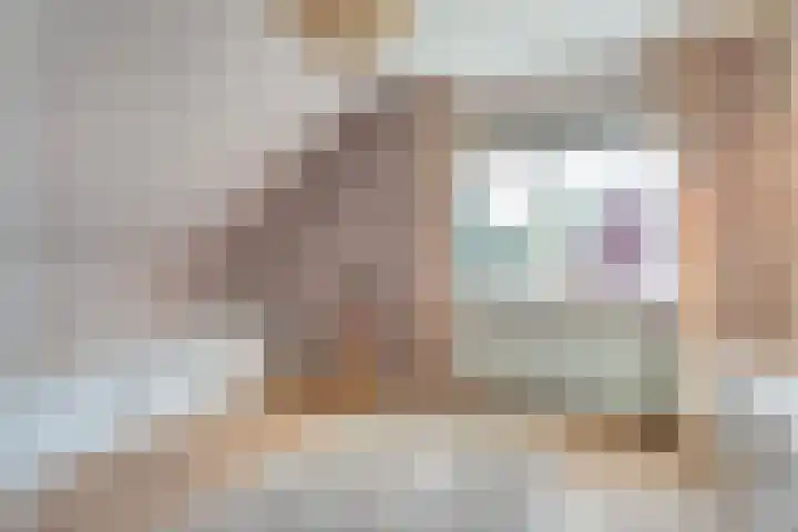 Brem 2 Coevorden thumbnail 26