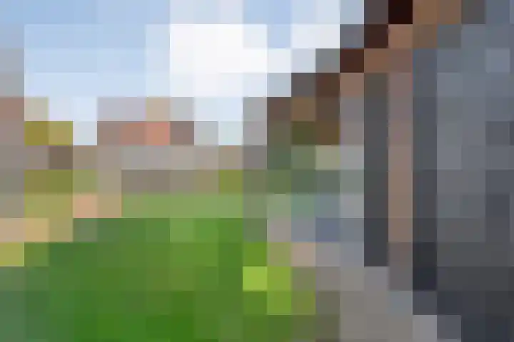 Brem 2 Coevorden thumbnail 29