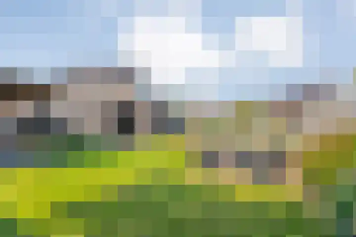 Brem 2 Coevorden thumbnail 30