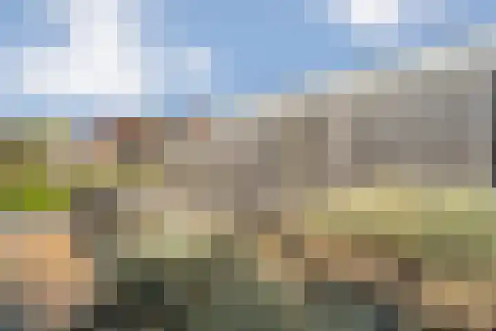 Brem 2 Coevorden thumbnail 32