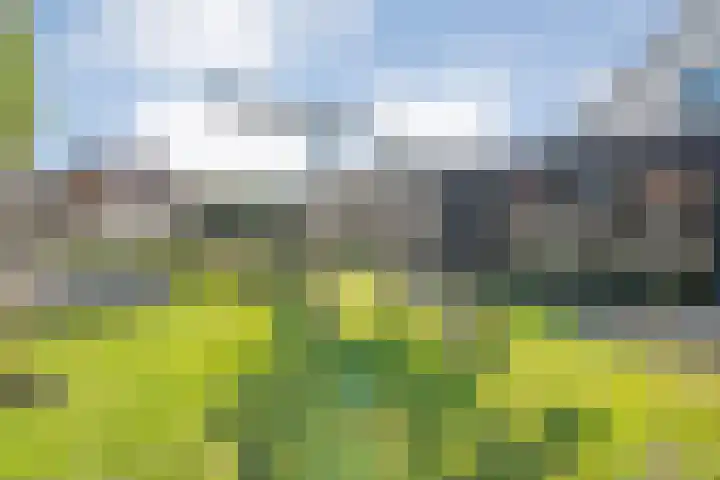 Brem 2 Coevorden thumbnail 33